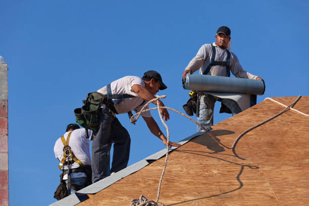 Best Roof Maintenance Services  in Arapahoe, WY